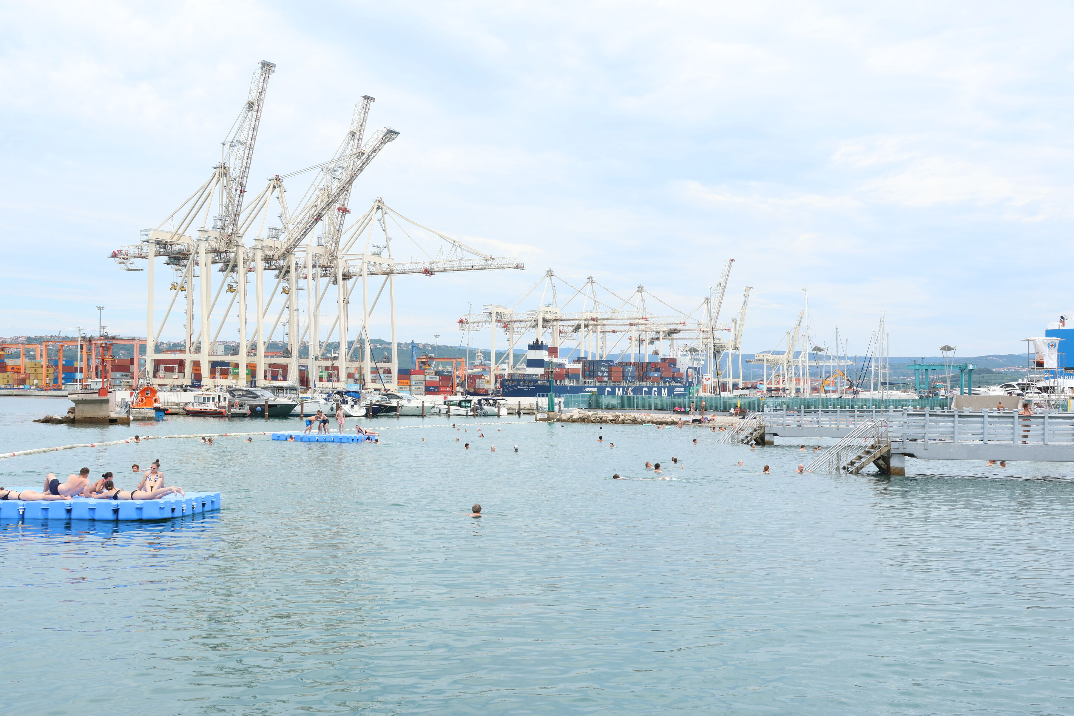 Swimming in the shadow of the cranes
