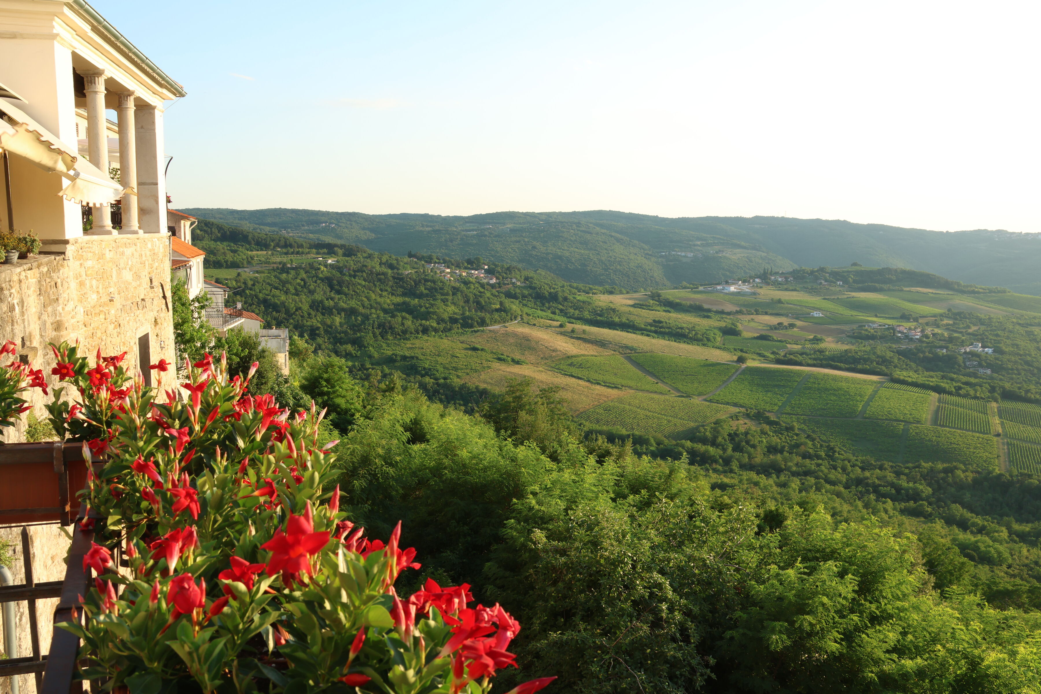 Over the Mirna valley